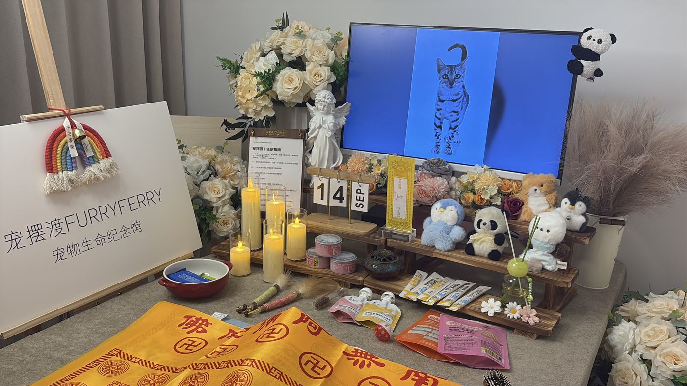 一、六个环节，环环相扣