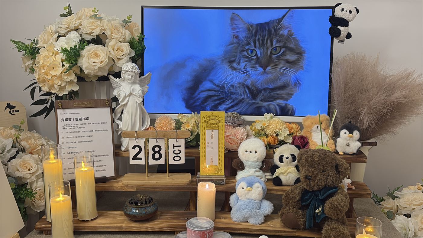如何面对宠物离世的悲伤？写给周口养宠人的心理支持